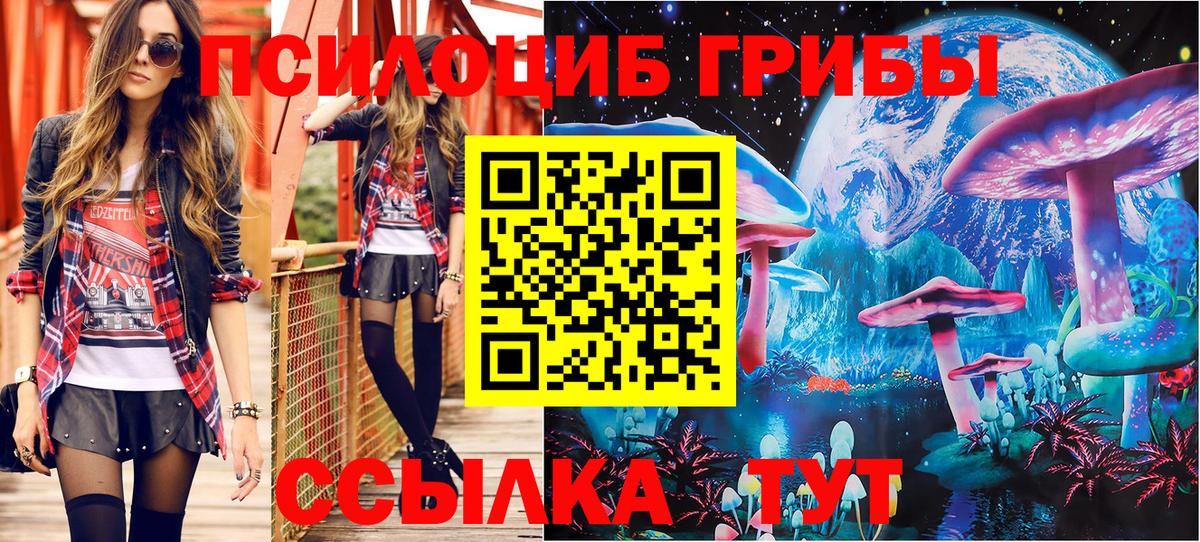 Псилоцибиновые грибы MAGIC MUSHROOMS Великий Устюг